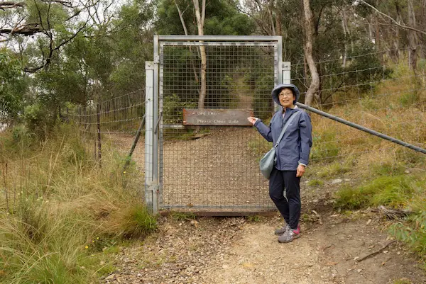 Dangar Gorge (21)